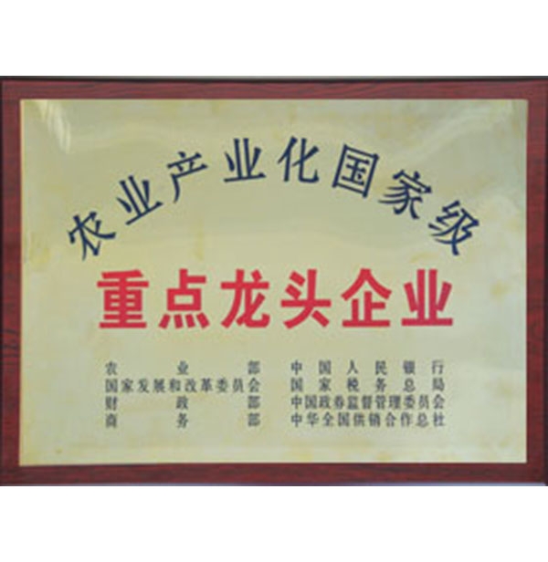 農業產業化（huà）國際級（jí）重（chóng）點龍頭企業