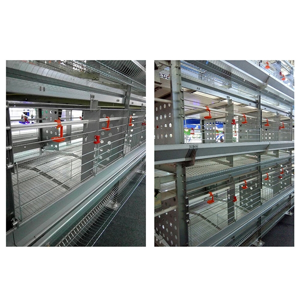 層（céng）疊式種雞籠（lóng）養設備
