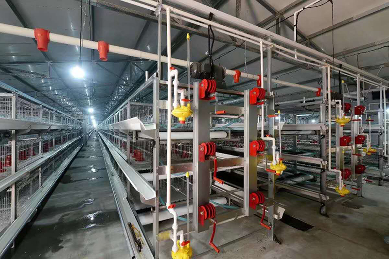肉雞設備喂料機為什麽會堵塞？