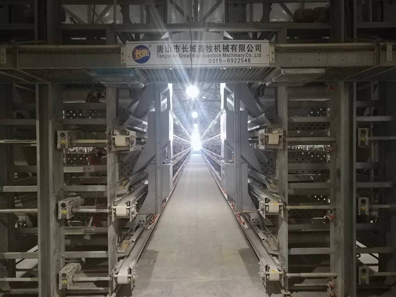 蛋雞設備（bèi）自動喂料機（jī）的保養（yǎng）方法配料（liào）順序