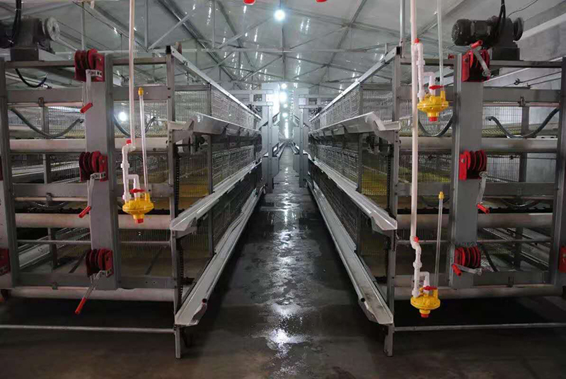 你知道肉雞設備加料機的組成嗎（ma）？