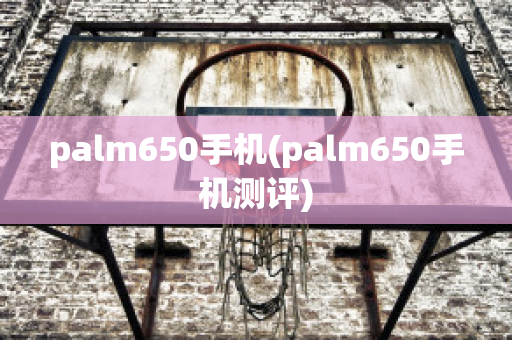 palm650手机(palm650手机测评)